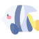 phlaro